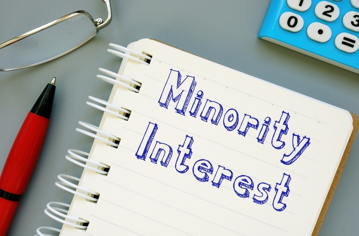 Minority interest image
